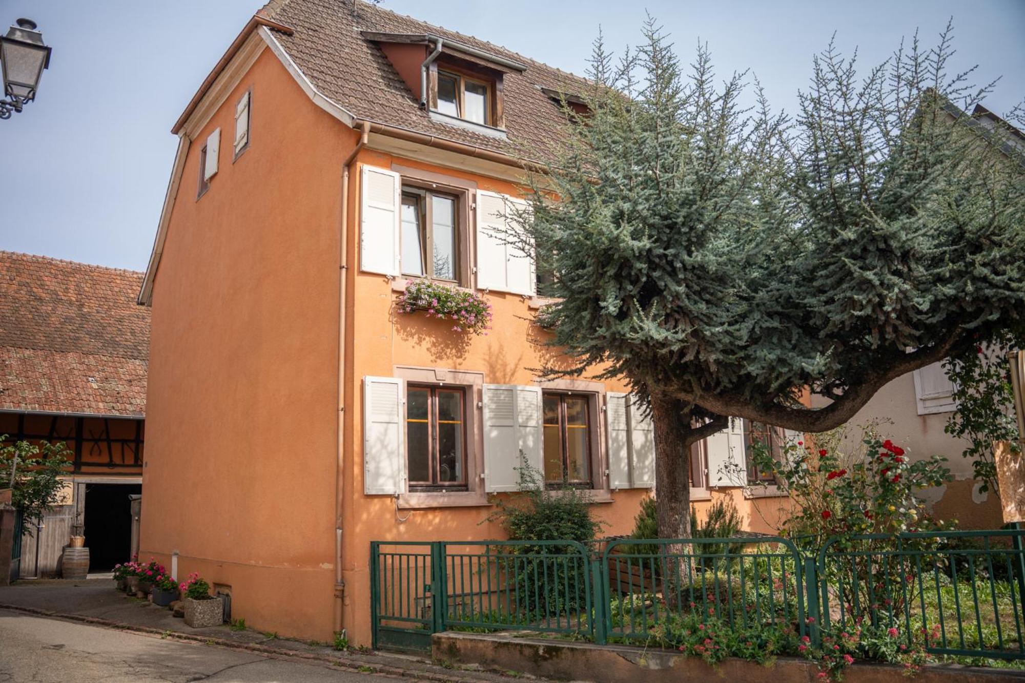 Gite La Grange Eguisheim Zewnętrze zdjęcie