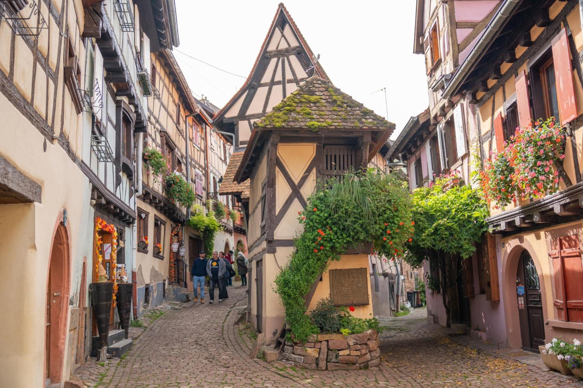 Gite La Grange Eguisheim Zewnętrze zdjęcie